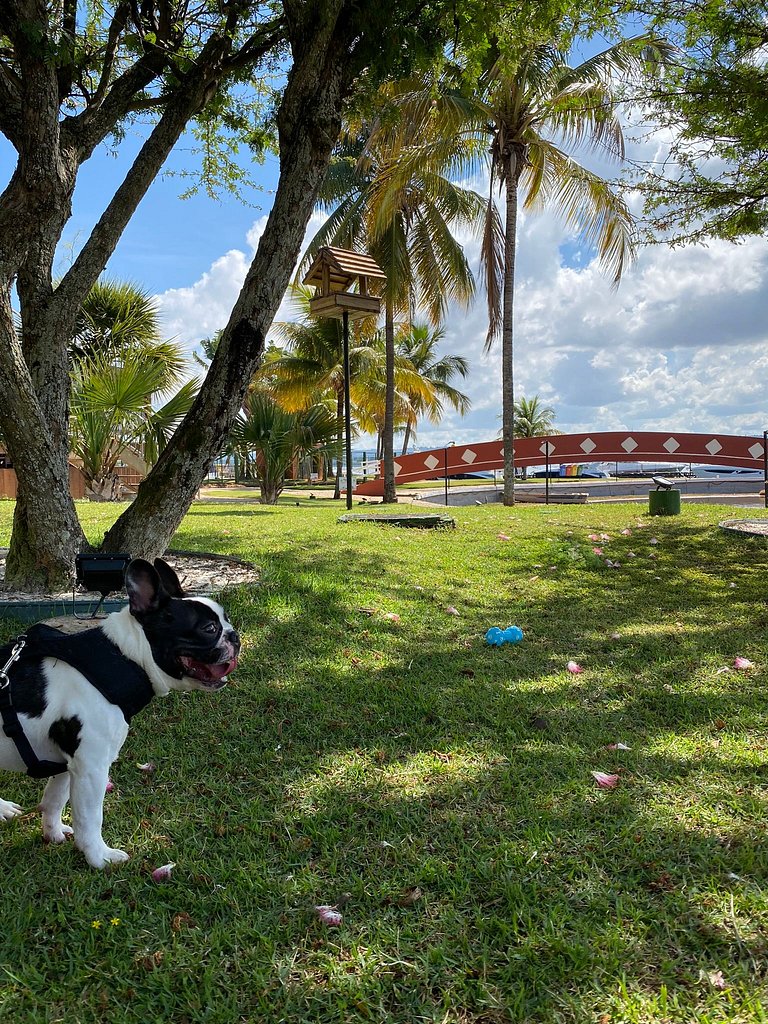 Flat 314 reformado lake side