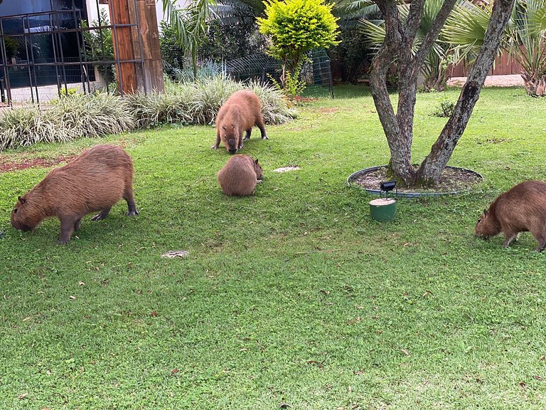 Flat 309 próximo ao CCBB e Embaixada