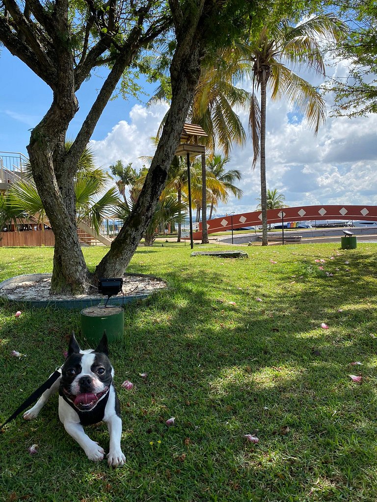 Flat 309 próximo ao CCBB e Embaixada